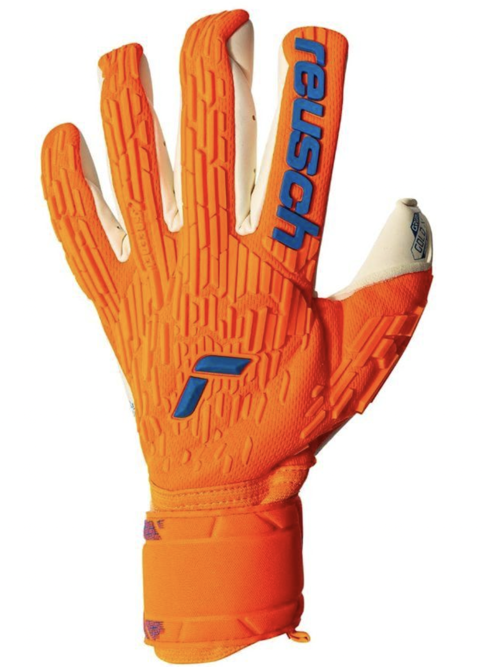 Reusch Attrakt Gold X Freegel